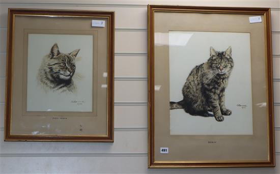 H. Bouvard, 2 watercolours, Studies of tabby cats, signed and dated 1945, largest 41 x 33cm